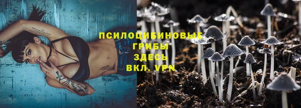 первитин Белокуриха