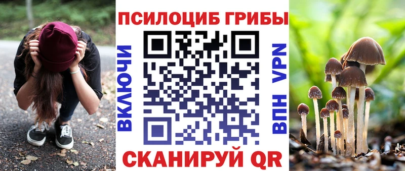 Купить закладки  Николаевск  Галлюциногенные грибы GOLDEN TEACHER 